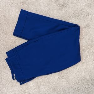 Express Editor Ankle Pants